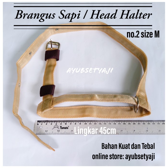 

My Brangus Sapi Size M Head Halter Sapi Kambing Tali Ikat Kepala Sapi