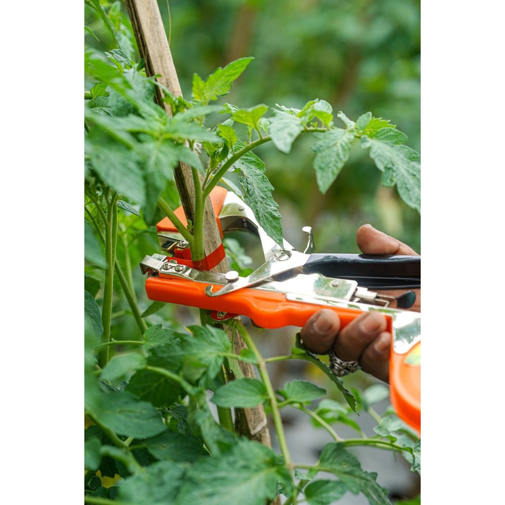 

ALAT PENGIKAT TANAMAN/TAPE TOOL/ALAT TEP/PENGIKAT RANGTING DAHAN