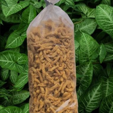 

Eripi Uu Ayam 2G Ripi Uu Ballballan Ripi Uu Ayam Uuran 2G