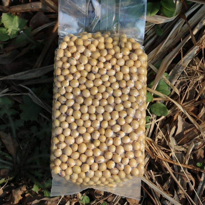

Kacang Kedelai Organic Dried Soybean
