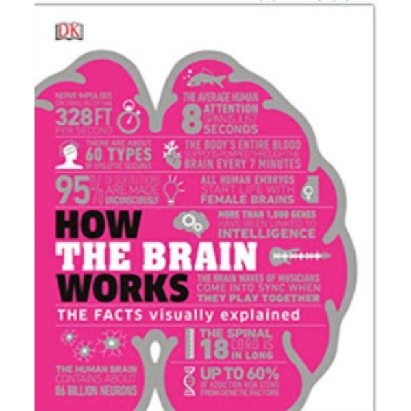 

How the Brain Works - 9780241403372