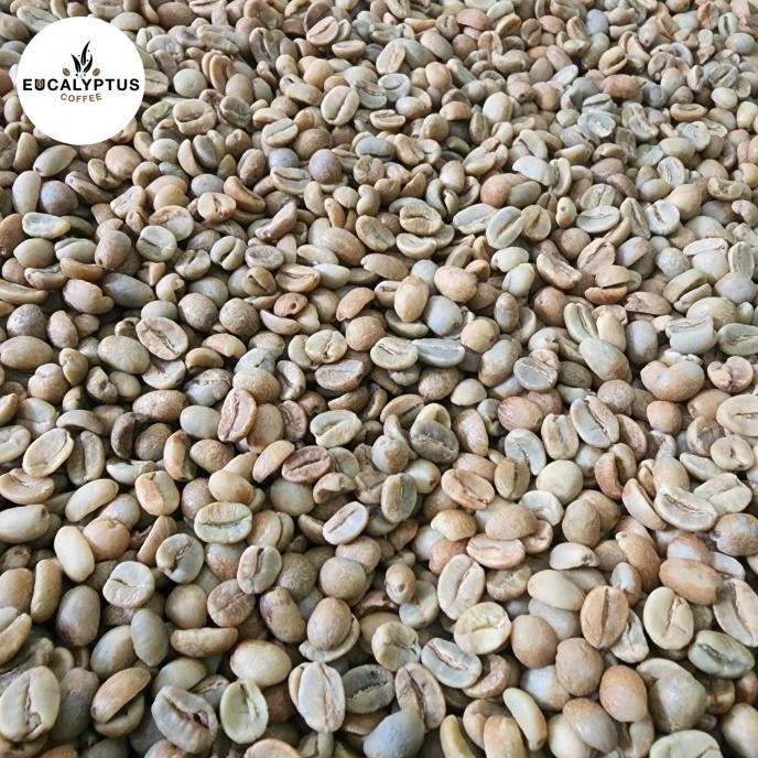 

Arabika Gunung Tilu Fermentasi Anaerob -Natural- Green Bean/Biji Kopi