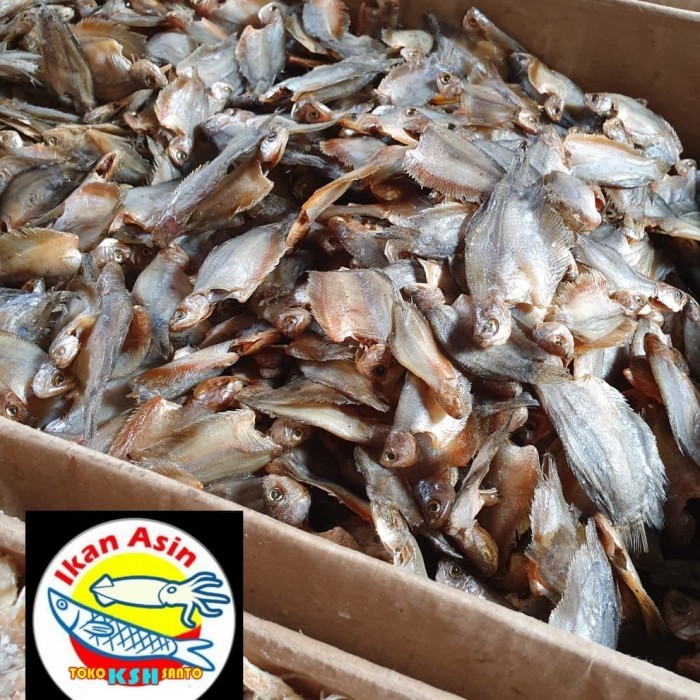 

IKAN ASIN SEPAT RAWA AIR TAWAR-1KG