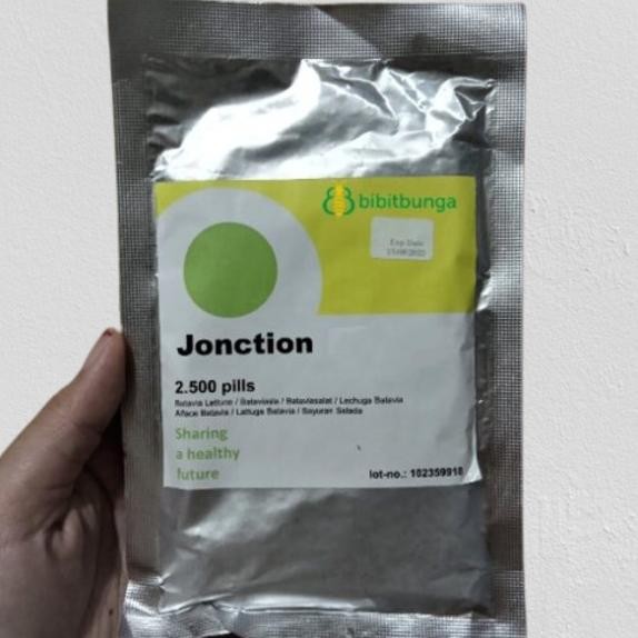 Benih Bibit RZ Batavia Selada Jonction 2500 Biji Junction Rijk Zwaan