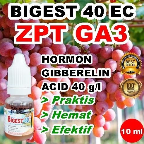 PREMIUM GA3 Best 40 EC 10 ml Giberelin Acid Tanaman Buah Anggur