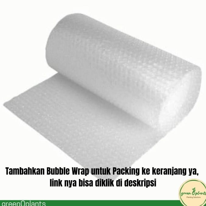 Grosir Rak Vertical Garden 120Cmx25Cm