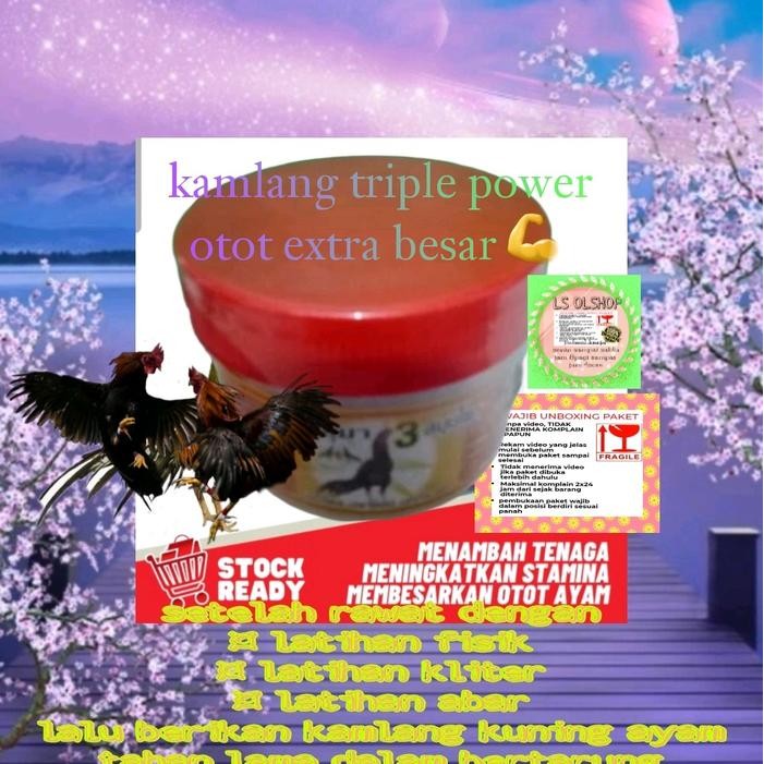 1 Kamlang basah kamlang gold kamlang merah kamlang ungu orange kamlang kuning kamlang hijau jamu