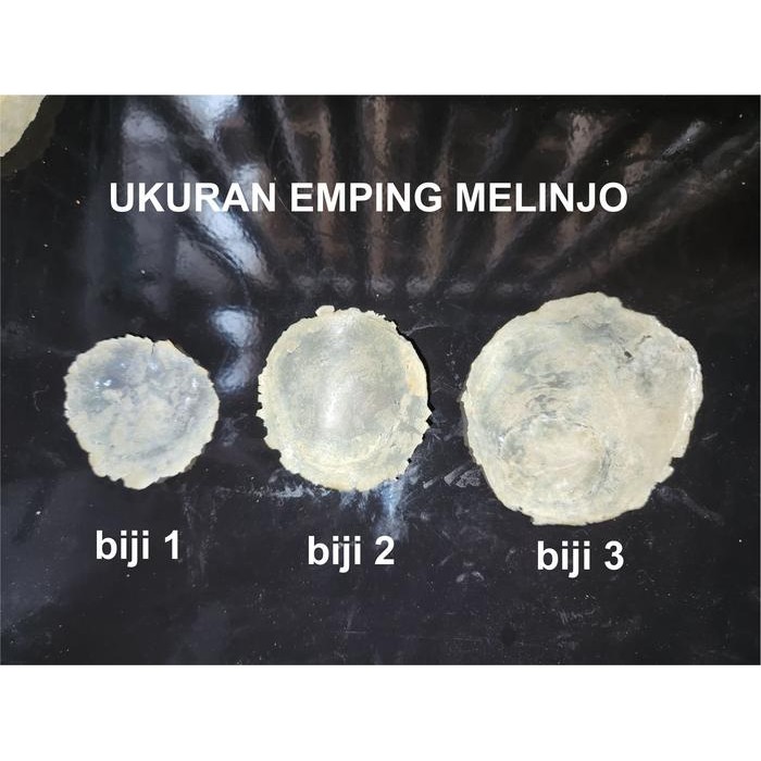 

BARANG TERLARIS 1KG EMPING MELINJO SIAP GORENG FULL KERING KHAS KEBUMEN Snacks Cemilan Makanan