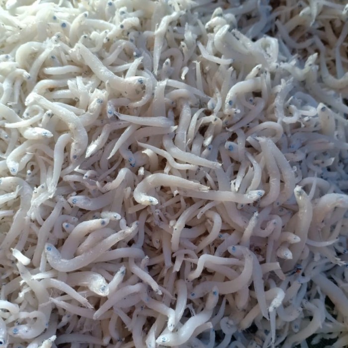 

TERI MEDAN SUPER PER 1KG
