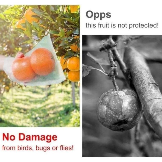 Spesial 100 Buah Jaring Penutup Buah/Tas Buah Tahan Serangga/Tas Jaring Pembungkus Buah/Buah Anggur 