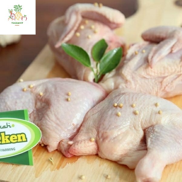 

Ayam organic Berkah Chiken ayam potong 4 bagian 500 600 gr