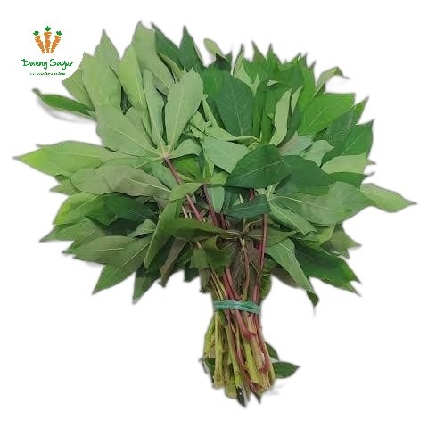 

Daun Ubi Daun Singkong Segar - 1 ikat