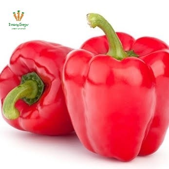

Paprika Merah Segar - 1 pcs