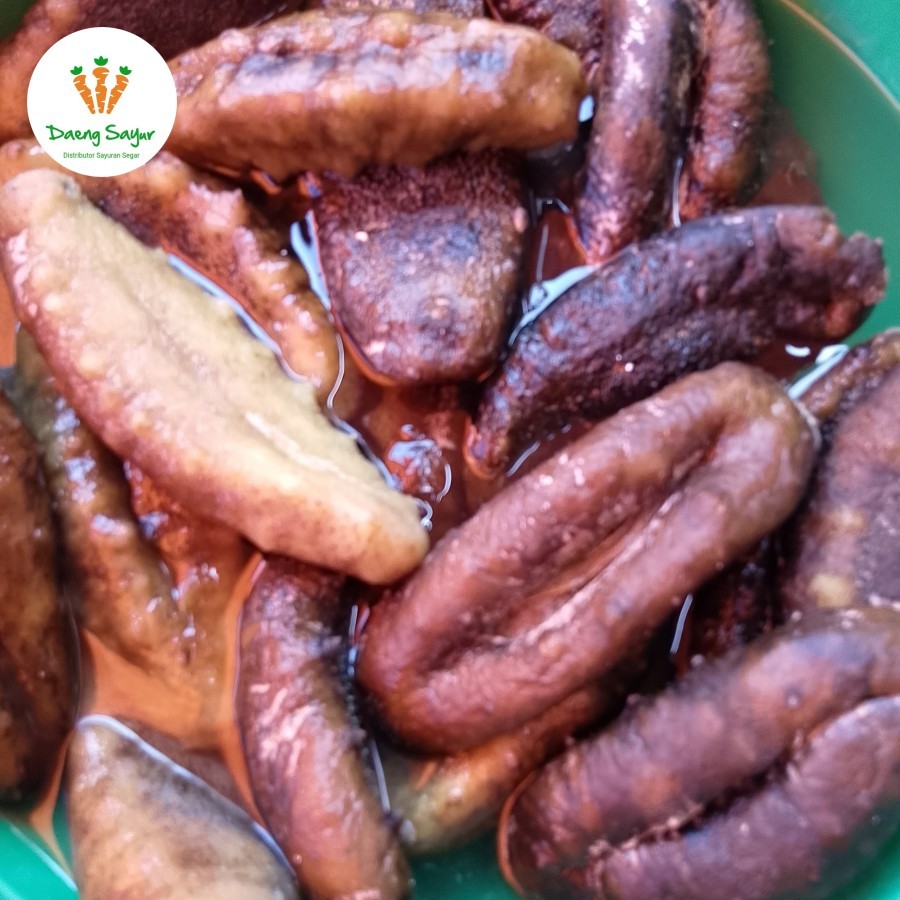 

Teripang Laut Sea Cucumber Haisom - 500gr