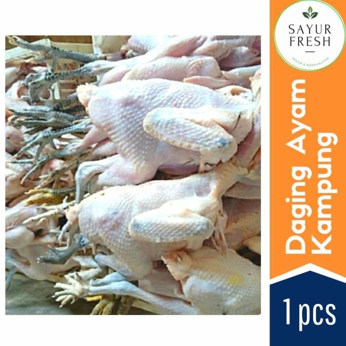 

READY DAGING AYAM KAMPUNG UTUH