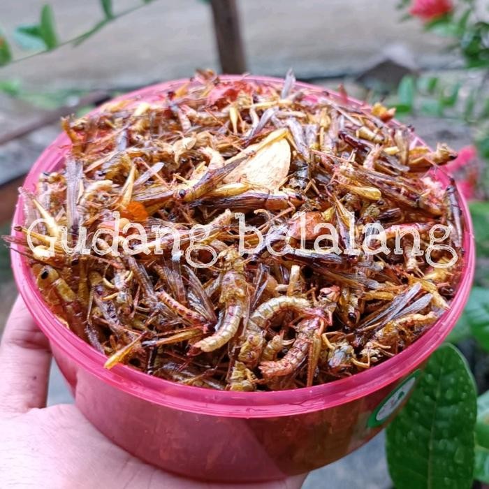 

SALE Belalang goreng kecil toples warna pedas manis Food Snacks