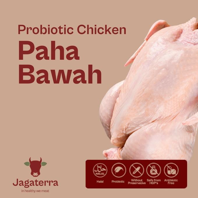 

READY PAHA BAWAH AYAM NEGRI PROBIOTIK BERKAH