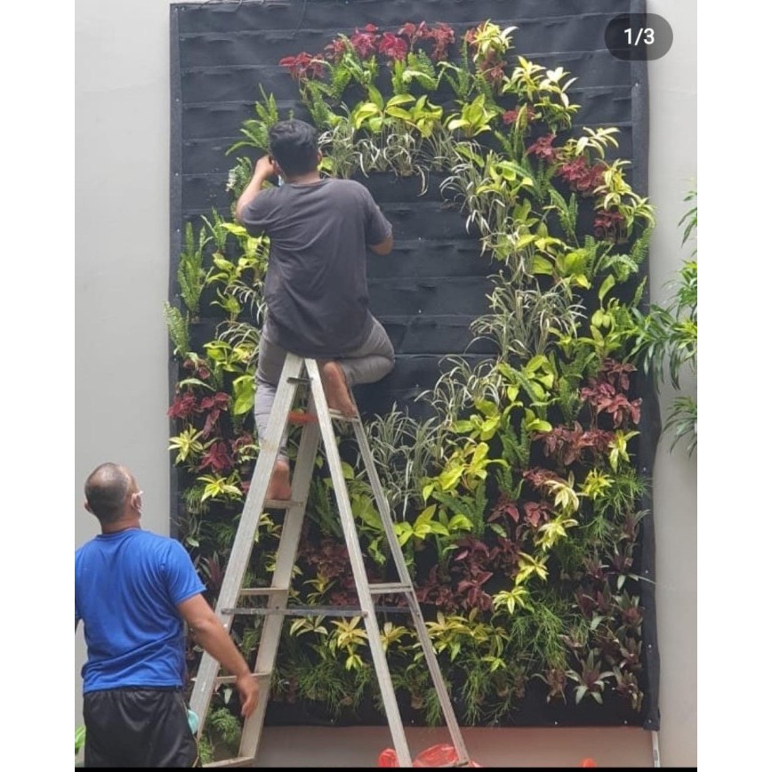 Karpet vertical garden africial