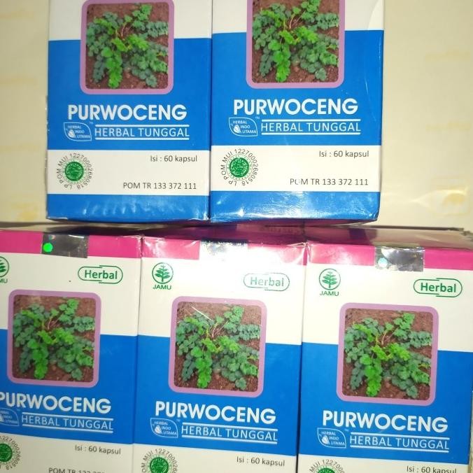 Produk Terbaik] Kapsul Herbal Purwoceng Isi 60kapsul