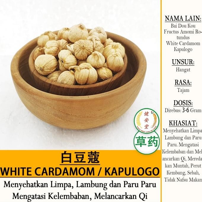 

*#*#*#*#] BAI DOU KOU-KAPULOGO-White Cardamom [ Amomi Rotundus] PER 100gr