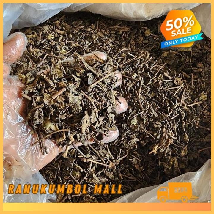 

BLACK TEA DAUN TEH HITAM KERING ASLI DAN ALAMI TEH HITAM RANU KUMBOL MALL TERBAIK!!