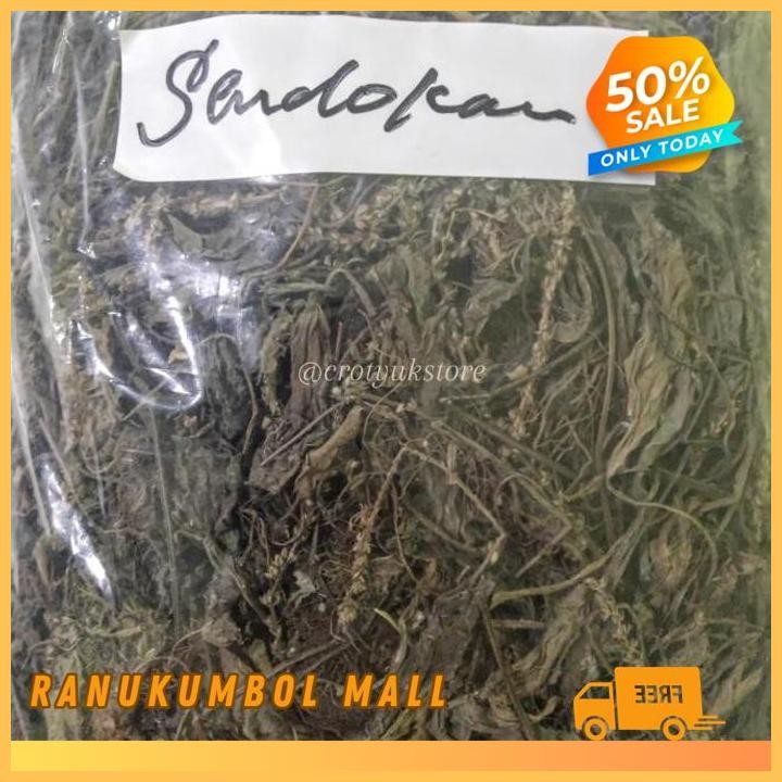 

500GR DAUN SENDOKAN KI URAT DAUN SENDOK KERING RANU KUMBOL MALL BEST SELLER!!