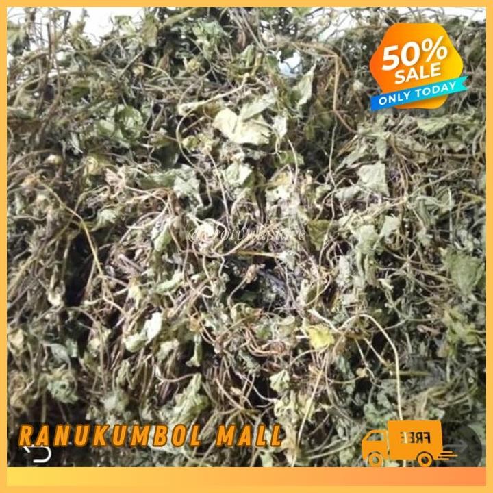

100GR ANTANAN DAUN KAKI KUDA ASLI DAUN PEGAGAN KERING RANU KUMBOL MALL KUALITAS PRODUK TERBAIK!