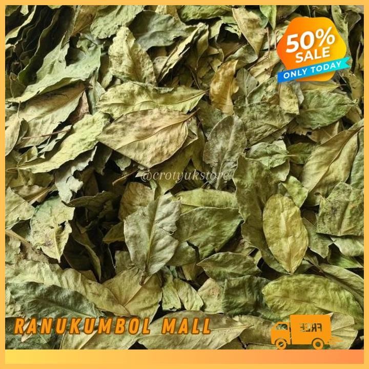 

500GR DAUN SALAM KERING RANU KUMBOL MALL GRATIS ONGKIR!