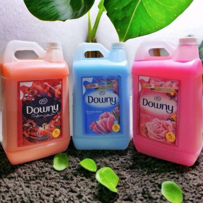 Downy 5 Liter Pelembut Pewangi Pakaian Murah Pilihan Hemat Dan Terlaris Parfum Collection