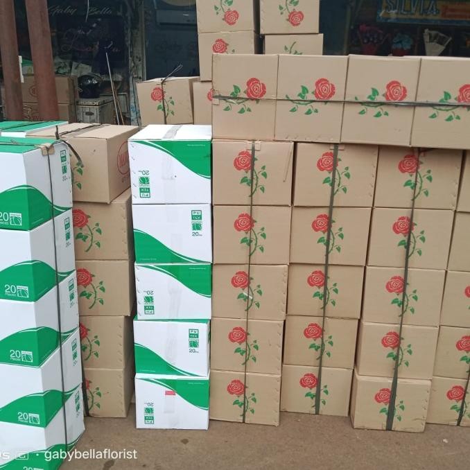 

NEW PRODUK OASISBASAH 573-BUSABUNGA BUSAIJO BUSABUNGAFRESH OASISMAWAR WETFLORAL !!!!!