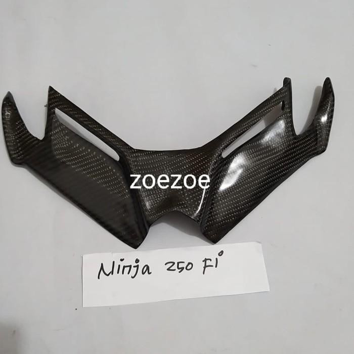 winglet carbon kevlar ninja 250 fi old Original