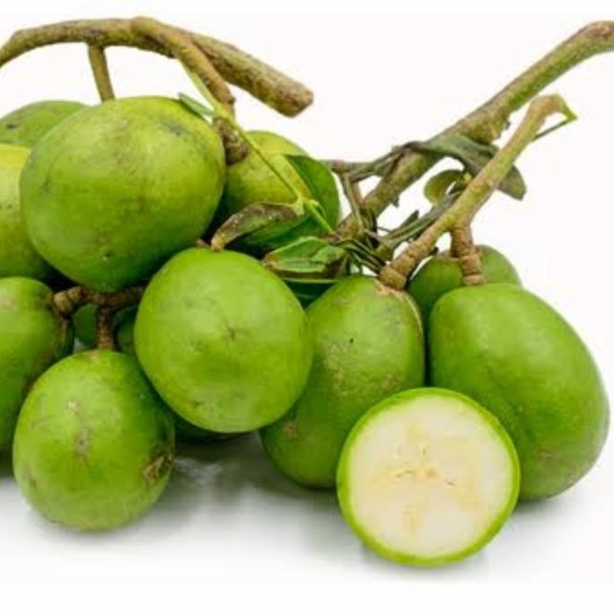 

Promo Tanaman Buah - Pohon Kedondong Bangkok | Ambarella | Rujak Buah COD