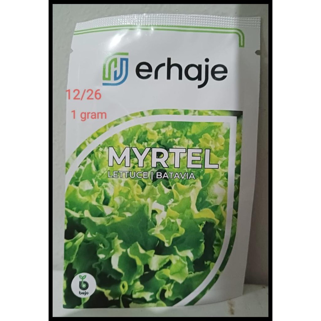SELADA MYRTEL BEJO SEED 1 GRAM