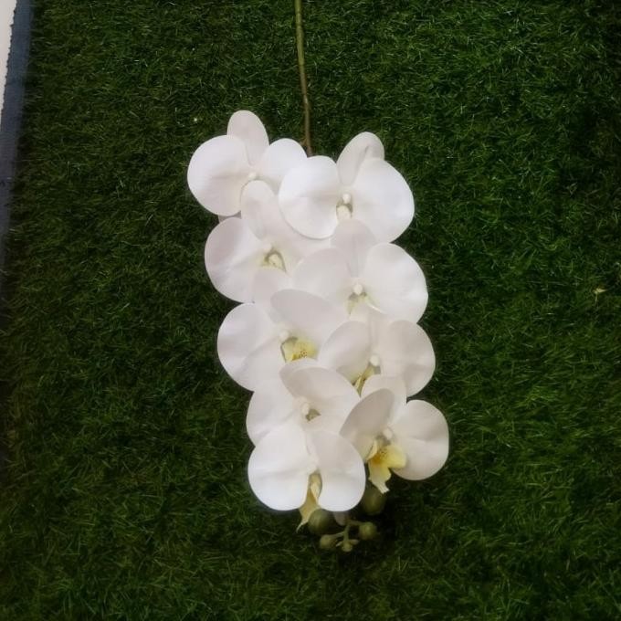Anggrek latex putih / Anggrek bulan putih / Bunga anggrek artificial murah