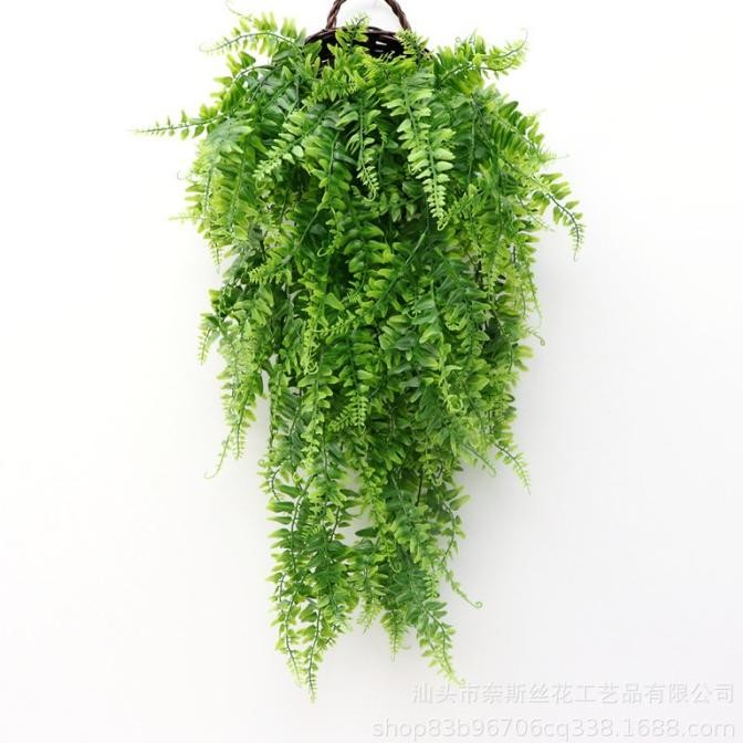 

Daun Juntai Pakis Yugali Bambu Putih Salju Snowy Rambat Plastik murah