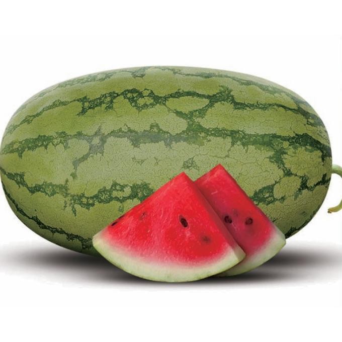 Benih Bibit Biji - Buah Semangka DIVA F1 Hibrida Lonjong Kulit Hijau Berlurik Daging Merah Manis Ber