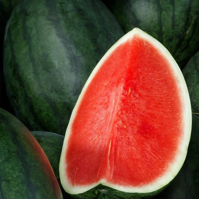 Benih / Bibit - Semangka Merah Tanpa Biji (Seedless) F1 Hybrid murah