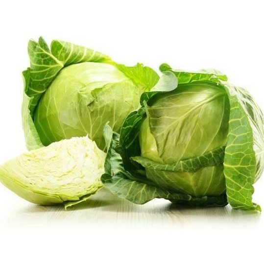 

Benih / Bibit / Biji - Kubis Kobis Kol F1 Hybrid (Kualitas Super) murah