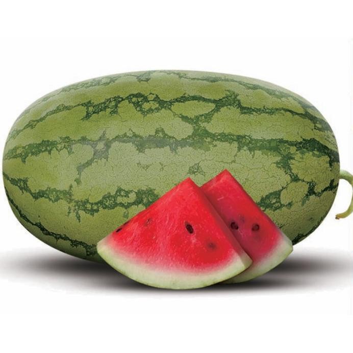 Benih Bibit Biji - Buah Semangka DIVA F1 Hibrida Lonjong Kulit Hijau Berlurik Daging Merah Manis Ber