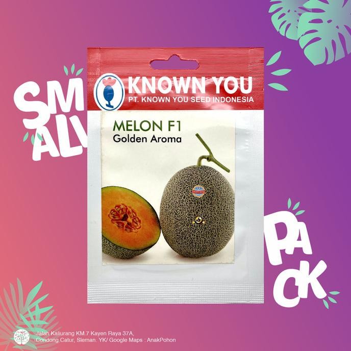 (1 PACK) Benih Melon Golden Aroma Hibrida F1 Oranye Seeds - KYS murah