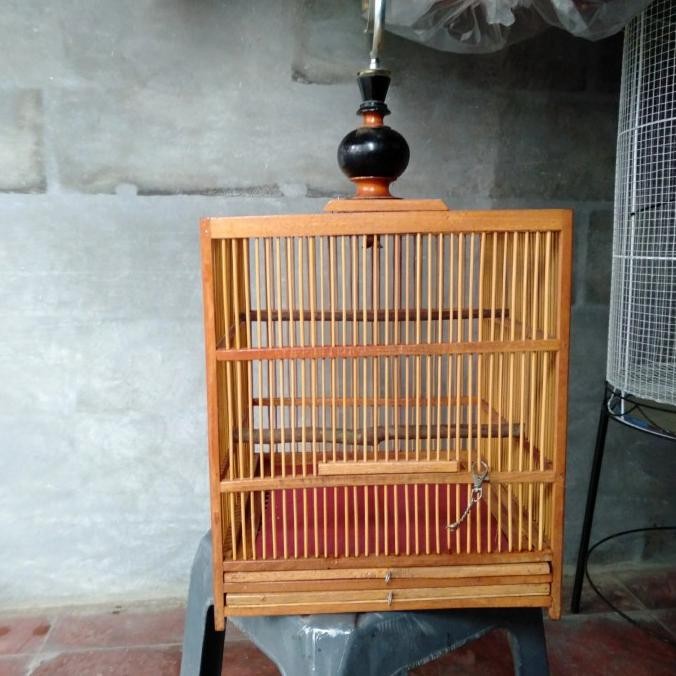 sangkar burung penjinakan wambie. murah