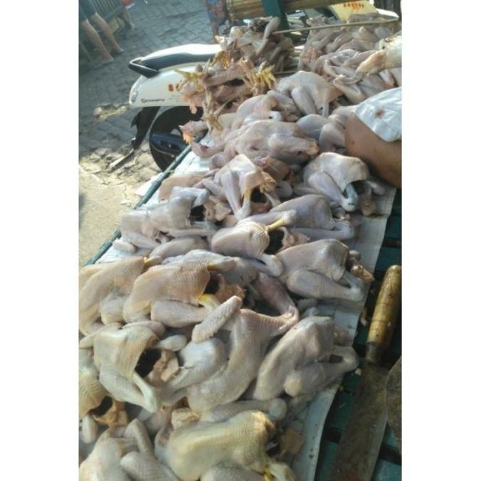 

(Good) AYAM KAMPUNG MEDIUM 650-725 gr