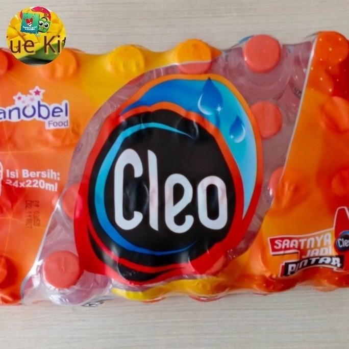 

(Good) Cleo air mineral botol kecil (24x220ml)