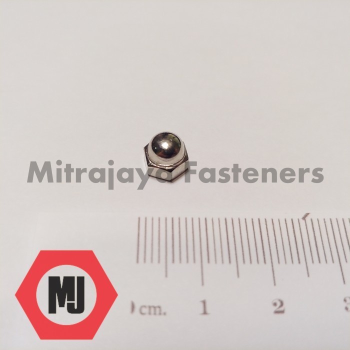 Mur Topi M4 Cap Nut Nikel