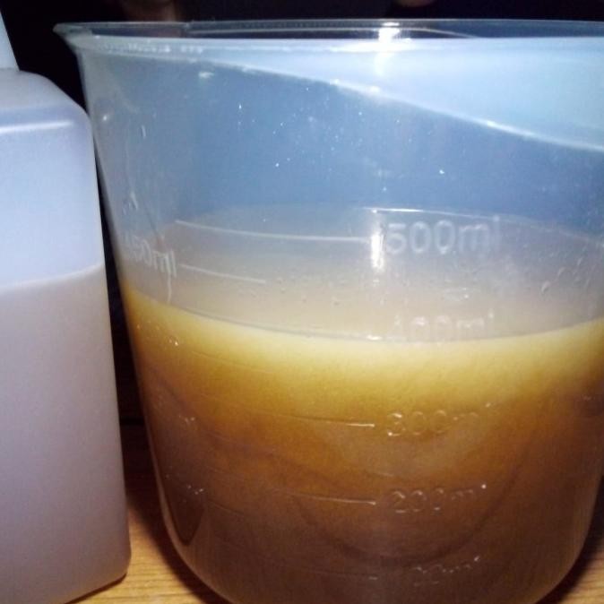 

Madu asli hutan baduy..madu odeng baduy netto 1000 gr PRAM