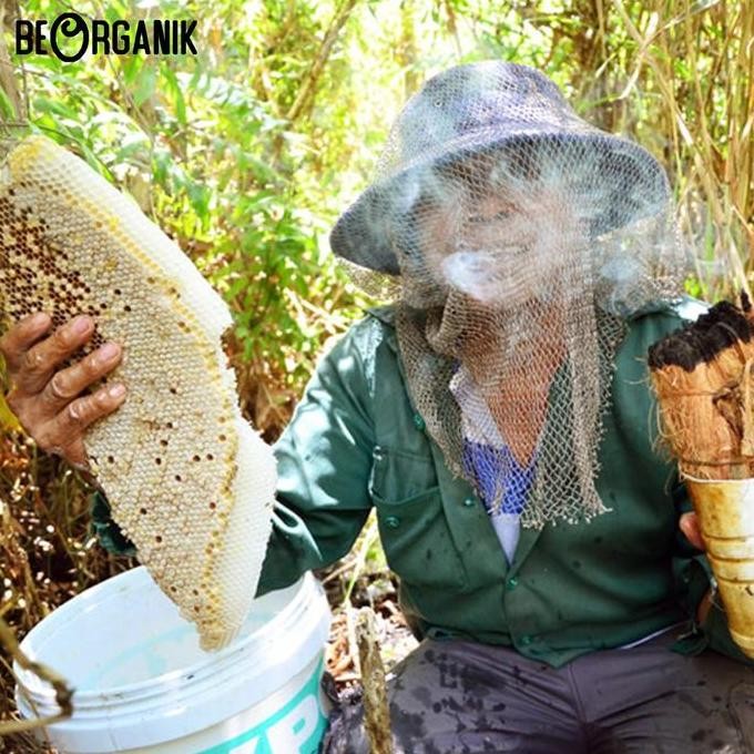 

Madu Hutan Beorganik 500Ml - Natural Raw Forest Honey Asli