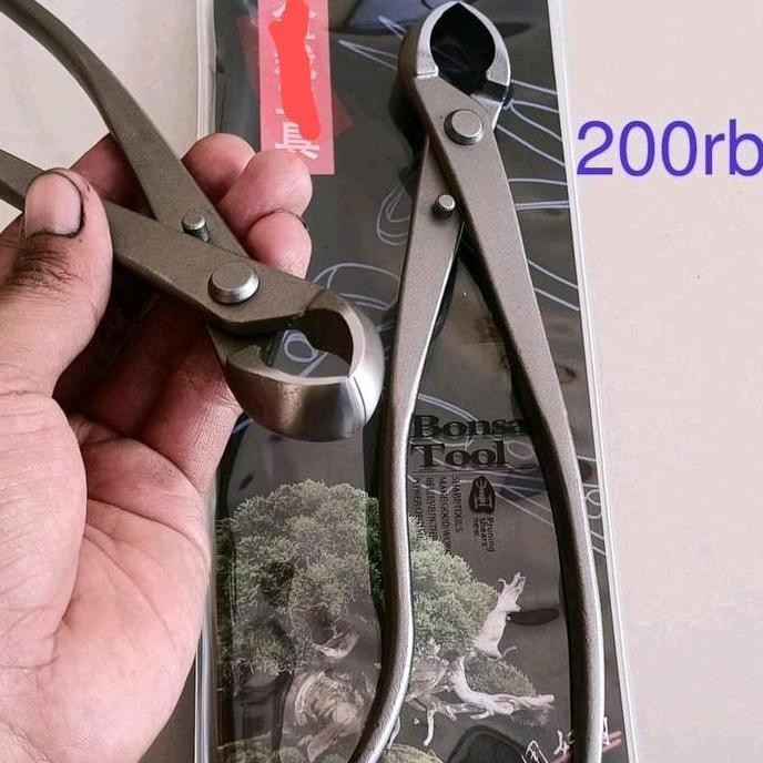 Grosir Catut Bonsai Cembung 21 Cm Catok Cembung Tanaman Bonsai