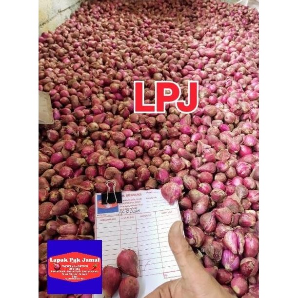 

Bawang Merah Lokal Super - LPJ murah