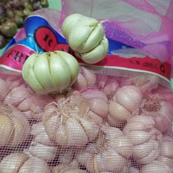

Bawang Putih Honan bawang putih banci ( 1/2 kg ) - ( 1 kg ) - ( 1/4 kg murah