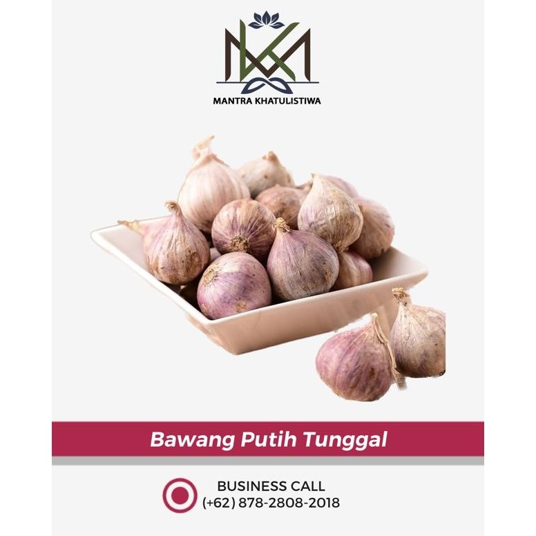 

Bawang Putih Tunggal [terbaik]